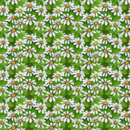Patchwork Garden Daisy Texture Green/White